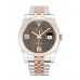 Rolex Datejust Chocolate Floral Diamond Dial 116231